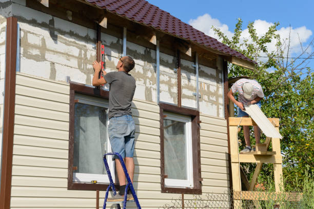 Affordable Siding Repair and Maintenance Services in Ava, MO
