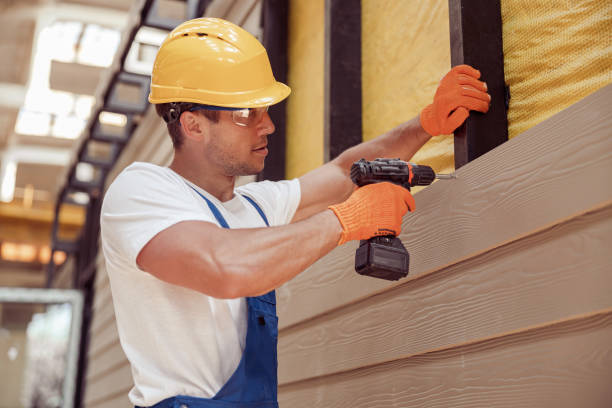 Best Fascia and Soffit Installation  in Ava, MO